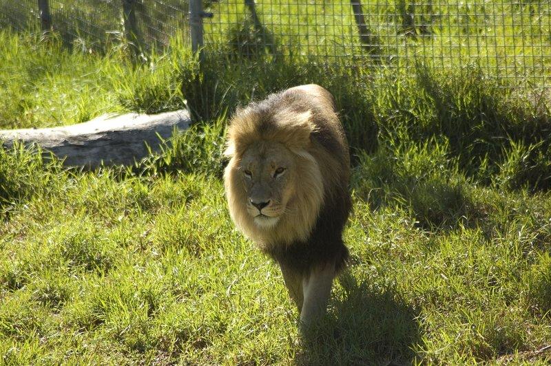 zoo_39 [800x600].jpg